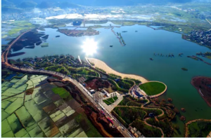 黄草洲国家生态湿地